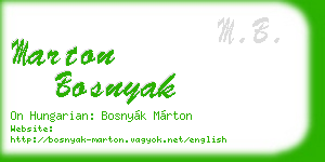 marton bosnyak business card